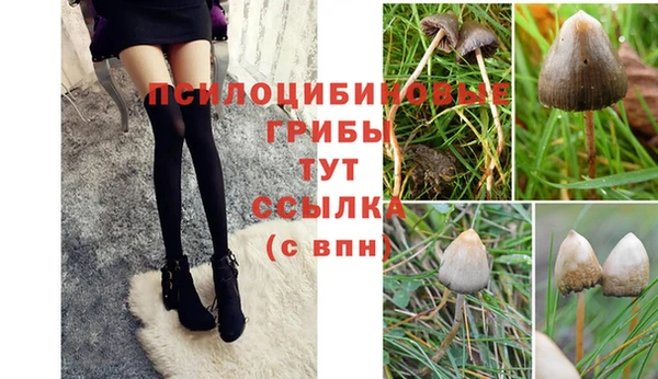 твердый Нефтекумск